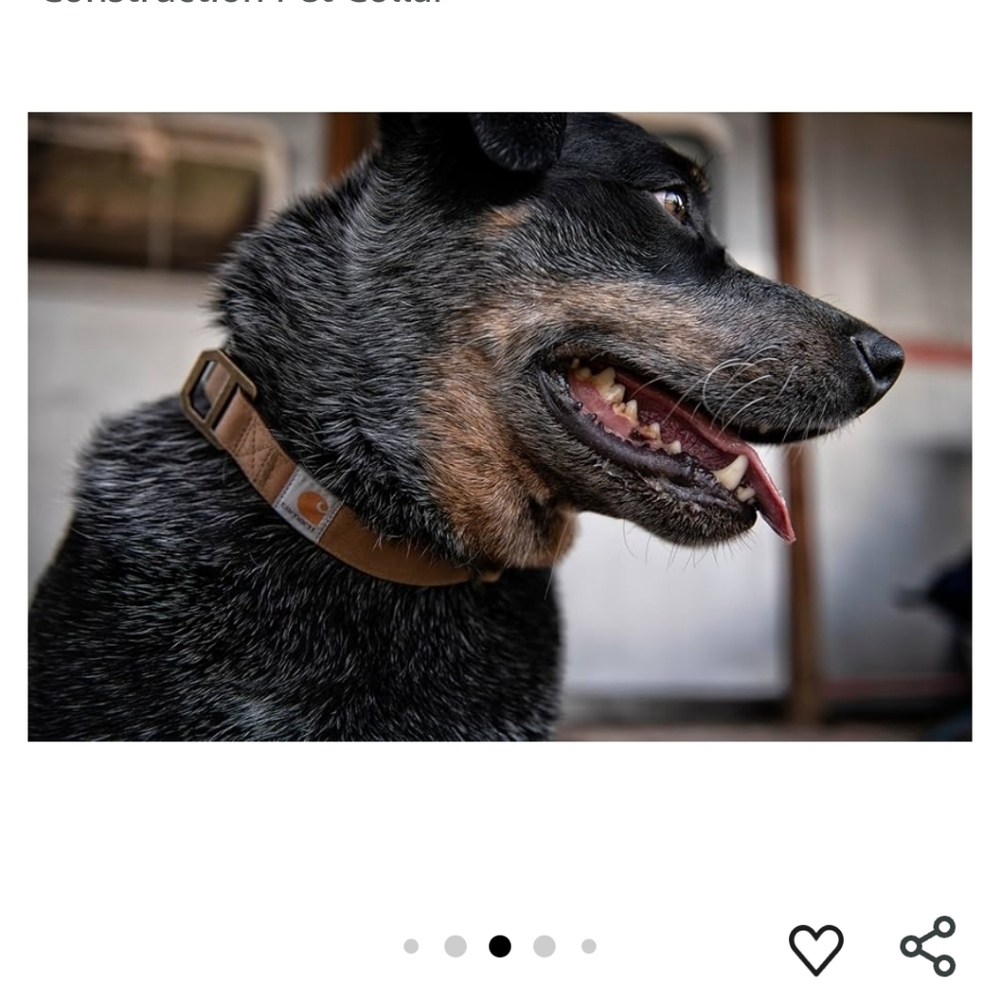 Carhartt Brown Nylon Duck Dog Collar